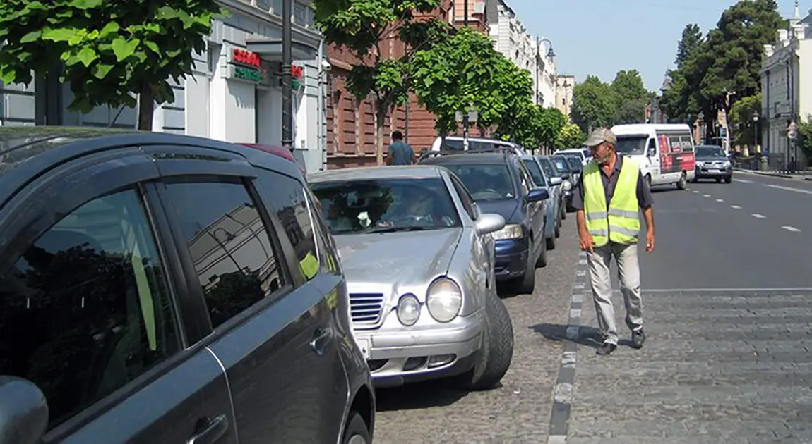 Паркувальники-волонтери в Грузії